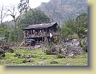 Sikkim-Mar2011 (135) * 3648 x 2736 * (4.72MB)